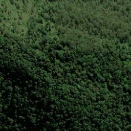 Satellite imagery of Mount Gipps, AU