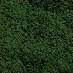Satellite imagery of Cockscomb Point, AU