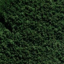 Satellite imagery of Cockscomb Point, AU
