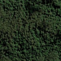 Satellite imagery of Bald Knob, AU