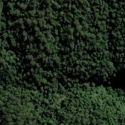Satellite imagery of Bald Knob, AU