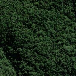 Satellite imagery of Mount Gipps, AU