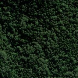 Satellite imagery of Mount Gipps, AU