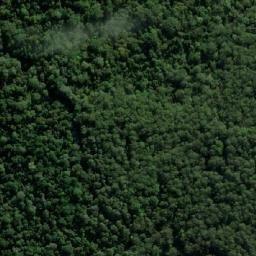 Satellite imagery of Cockscomb Point, AU