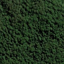 Satellite imagery of Bald Knob, AU
