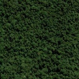 Satellite imagery of Mount Nungulba, AU