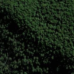 Satellite imagery of Bald Knob, AU