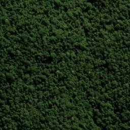 Satellite imagery of Mount Nungulba, AU