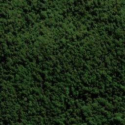 Satellite imagery of Mount Nungulba, AU