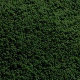 Satellite imagery of Mount Nungulba, AU