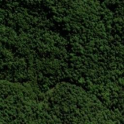 Satellite imagery of Mount Nungulba, AU