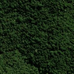 Satellite imagery of Mount Nungulba, AU