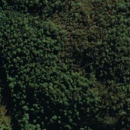 Satellite imagery of Bald Knob, AU