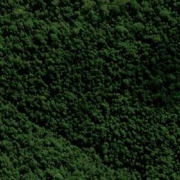 Satellite imagery of Forest Top, AU
