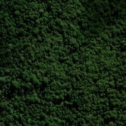 Satellite imagery of Forest Top, AU
