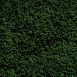 Satellite imagery of Forest Top, AU