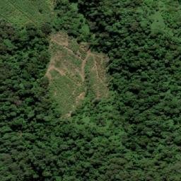 Satellite imagery of Mount Wollumbin, AU
