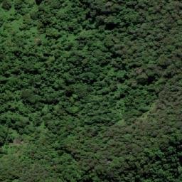 Satellite imagery of Mount Wollumbin, AU