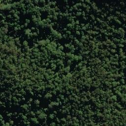 Satellite imagery of Bald Knob, AU