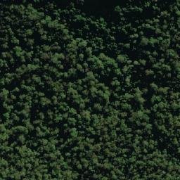 Satellite imagery of Bald Knob, AU