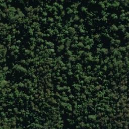 Satellite imagery of Bald Knob, AU