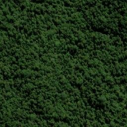 Satellite imagery of Forest Top, AU