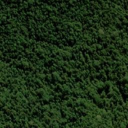 Satellite imagery of Forest Top, AU