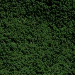 Satellite imagery of Forest Top, AU