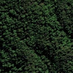 Satellite imagery of Mount Wollumbin, AU