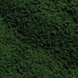 Satellite imagery of Forest Top, AU
