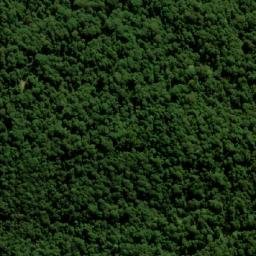Satellite imagery of Forest Top, AU