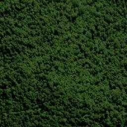 Satellite imagery of Forest Top, AU