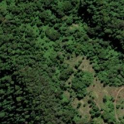 Satellite imagery of Mount Wollumbin, AU