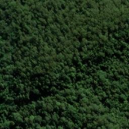 Satellite imagery of Jackson Rest, AU