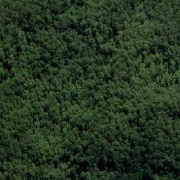Satellite imagery of Lomas Lookout, AU