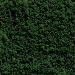 Satellite imagery of Jackson Rest, AU