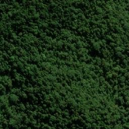 Satellite imagery of Griffs Spur, AU