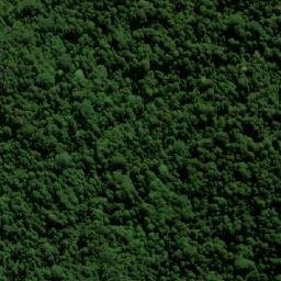 Satellite imagery of Griffs Spur, AU