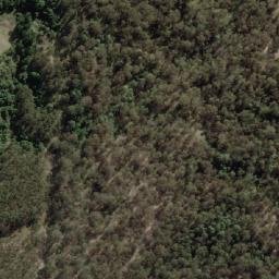 Satellite imagery of One Tree Hill, AU