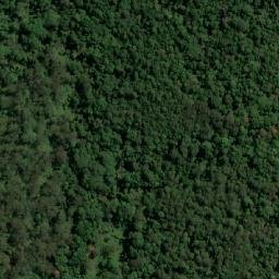 Satellite imagery of Woodenbong Peak, AU