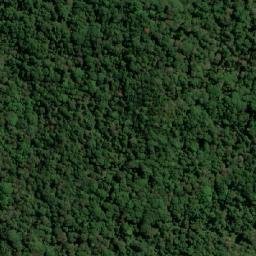 Satellite imagery of Woodenbong Peak, AU