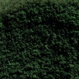 Satellite imagery of Jackson Rest, AU