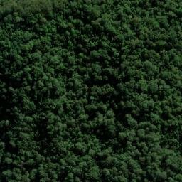 Satellite imagery of Jackson Rest, AU