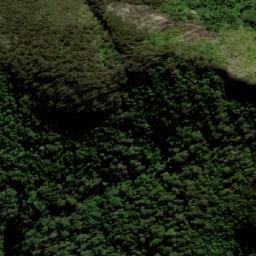 Satellite imagery of Mount Warning, AU