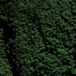 Satellite imagery of Mount Warning, AU