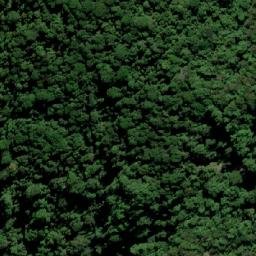 Satellite imagery of Mount Warning, AU