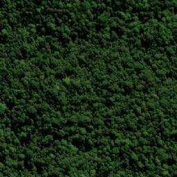 Satellite imagery of Paddys Lookout, AU