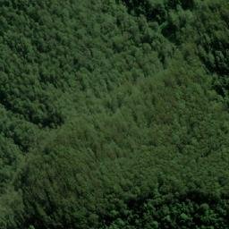 Satellite imagery of Paddys Lookout, AU