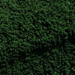 Satellite imagery of Paddys Lookout, AU