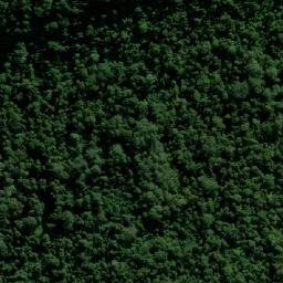 Satellite imagery of Paddys Lookout, AU